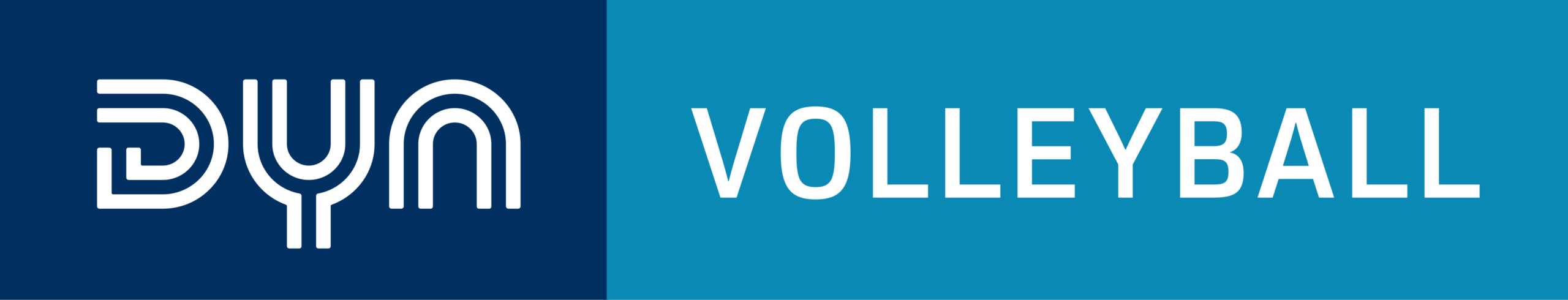 Dyn_Volleyball_Logo